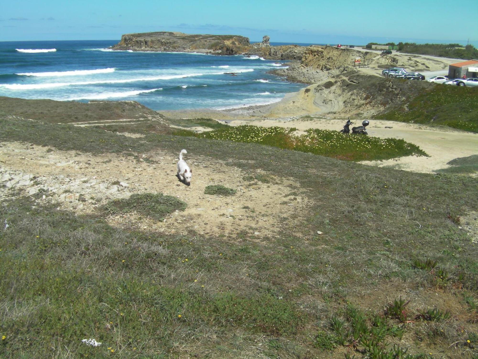 Peniche Surf Lodge 1 Extérieur photo